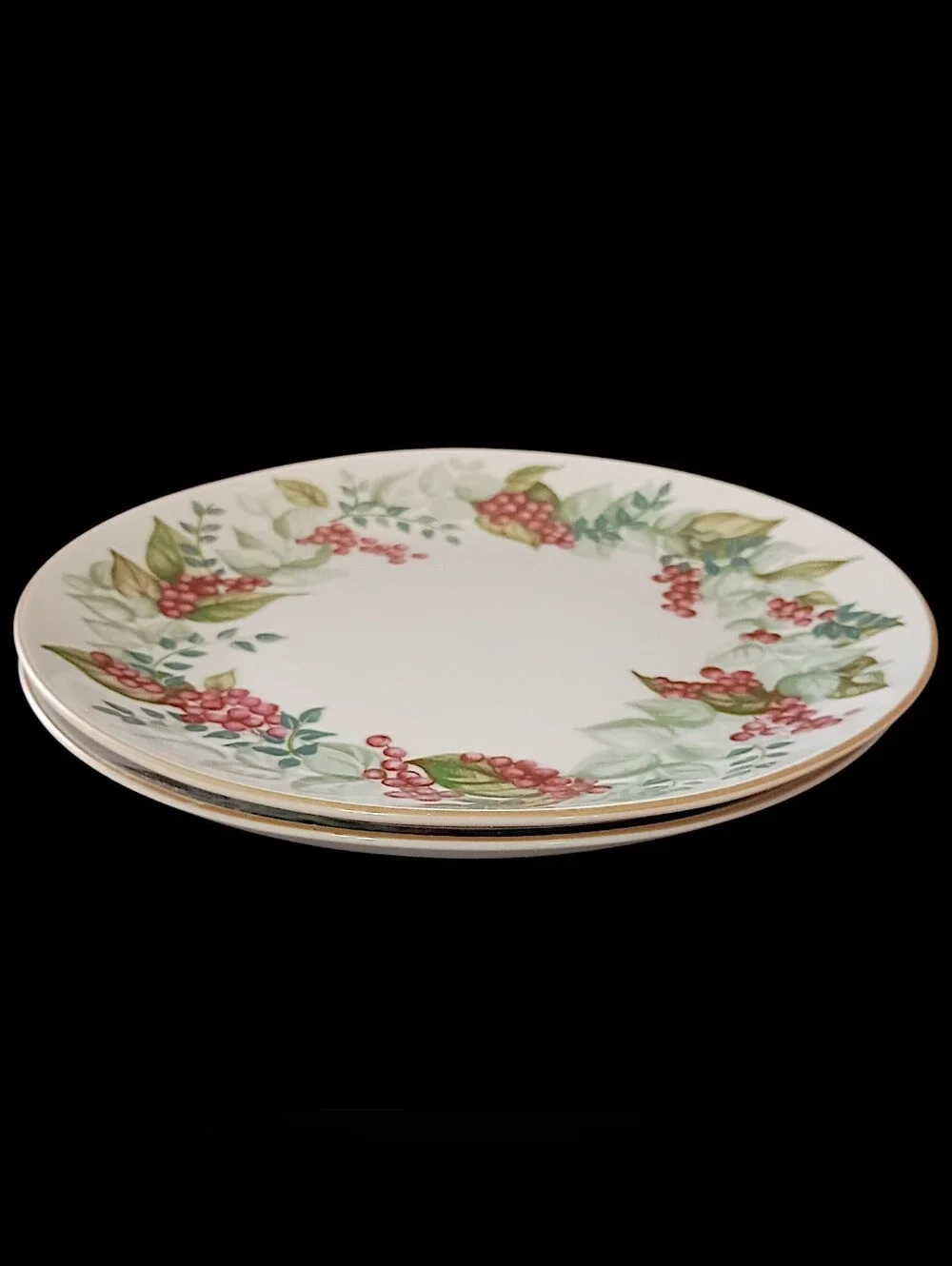 2 Restoration Hardware Festive Berry Plates Salad Side Christmas Botanical RH